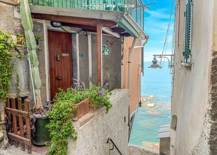 The Sea